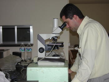 Técnico de la Finca Matallana en el laboratorio de investigación ovina