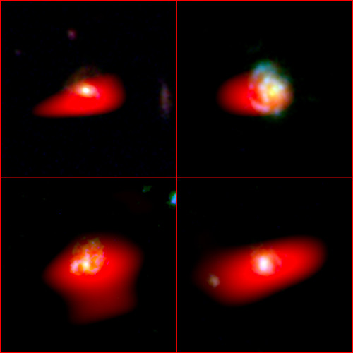 Las cuatro jóvenes galaxias similares a la Vía Láctea observadas. Crédito: ALMA (ESO/NAOJ/NRAO) C. Papovich; A. Angelich (NRAO/AUI/NSF); NASA/ESA Hubble Space Telescope.