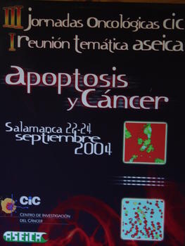 Cartel de las III Jornadas Oncológicas