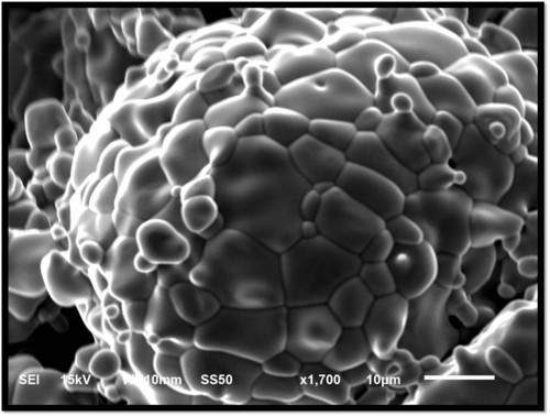 Material sinterizado visto en el microscopio electrónico de barrido. Foto: CONACYT.