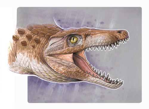 Ilustración del 'Burkesuchus mallingrandensis' realizada por Gabriel Lio del LACEV-MACN.