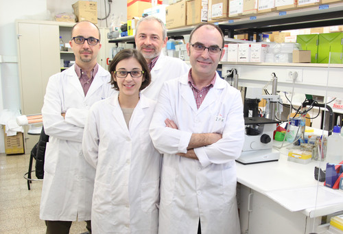 Grupo de investigación premiado por el estudio de la proteína RhoE. Foto: CEU-UCH.