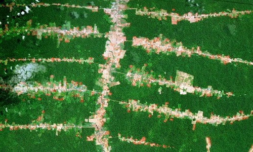 Deforestación en la Amazonia brasileña en los alrededores de las carreteras. / Google Earth