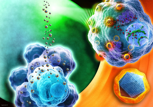 Nanopartículas de óxido de hierro hacia sus “blancos” celulares en la sangre