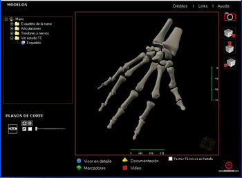 Visor anatómico de la mano. Imagen: Juan A. Juanes.