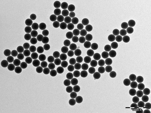 Nanopartículas de sílice/Farid Cortés