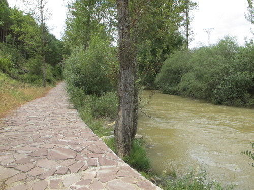 Senda construida a la orilla del río Pisuerga (FOTO: MARM).