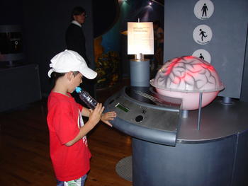 Un niño comprueba cómo funciona el cerebro