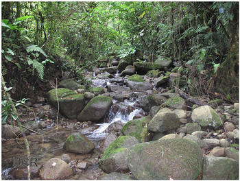 Río Cañas, en Costa Rica.