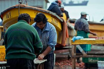 Pescadores chilenos.