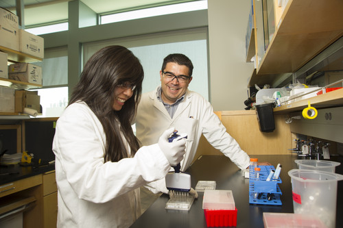 Anna Marie Tuazon, primera firmante del artículo, y Luis Carvajal-Carmona, en el laboratorio. Foto: Universidad de California en Davis.