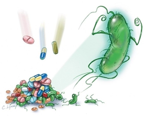 Superbacterias/UBU