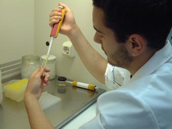 Uno de los investigadores trabajando en el laboratorio palentino.