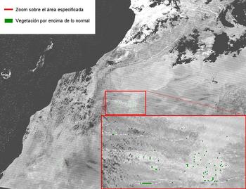 Imagen de satélite sobre la cantidad de vegetación en la zona (FOTO: Latuv).