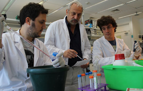 Juan José Bonfiglio, Eduardo Arzt y Lucas Tedesco en el laboratorio. Foto: gentileza investigadores.