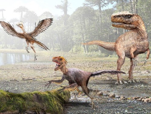 La disminución del tamaño en estos dinosaurios, que terminó en la aparición de las aves, fue el atajo energético que encontró la evolución para hacer esa transición con el menor costo posible/Mauricio Álvarez