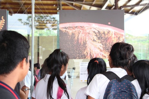 Alumnos de Ecuador viendo la exposición FOTCIENCIA. Foto: IKIAM.