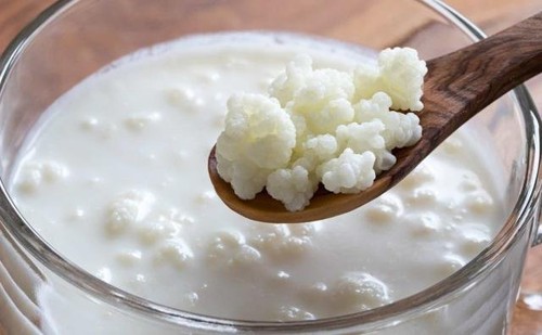 Kéfir, más conocido como yogurt de pajaritos.