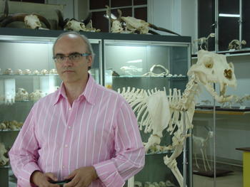 El profesor de Anatomía Juan Francisco Pastor en el Museo Anatómico de la Universidad de Valladolid
