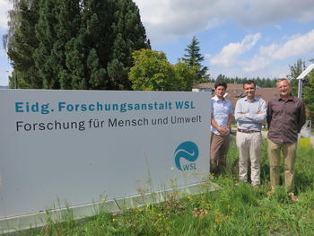 El equipo de investigadores en  el WSL de Zurich para analizar los datos obtenidos en Soria. Foto: Cesefor.