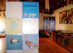 Exposición sobre las aves de Riolobos en el Centro de Iniciativas Ambientales de la Fundación Tormes-EB