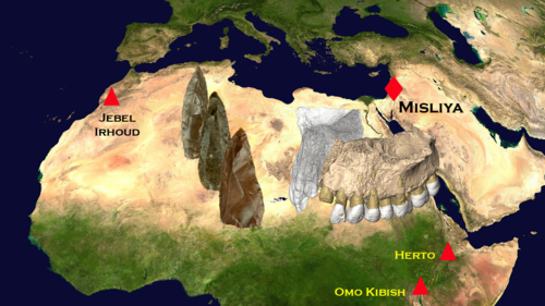 Mapa con los yacimientos donde se han encontrado fósiles de humanos modernos/MEH