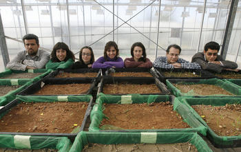 Esquipo de investigación del Instituto de Agricultura Sostenible. Foto: CSIC.
