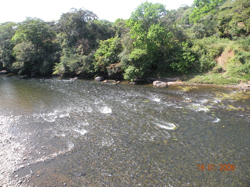 Uno de los ríos tropicales donde los investigadores han trabajado. FOTO: GEF.