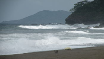 Playa de Costa Rica (FOTO: UNA).