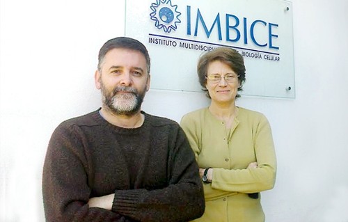 Claudio Bravi y Graciela Bailliet aportaron sus conocimientos a la investigación. Foto: Gentileza investigadores.