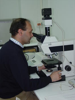 El profesor Silverio Coco trabajando con el microscopio