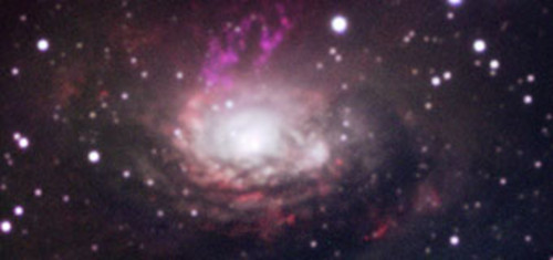 En la imagen se ve el centro de la galaxia Circinus con un disco de polvo a su alrededor. Crédito: ESO