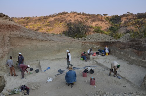 Excavaciones en el yacimiento tanzano TK de la Garganta de Olduvai. FOTO: CENIEH