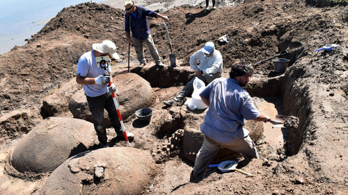 Científicos del INCUAPA extraen los restos de los gliptodontes encontrados en el partido de Bolívar.