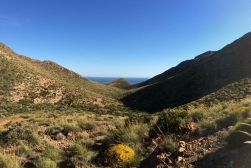 Estepa en las inmediaciones del Cabo de Gata (Almería). Estos ecosistemas son altamente sensibles a la desertificación y el cambio climático. Autor: Beatriz Gozalo.