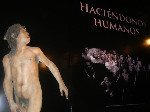 Exposición 'Haciéndonos humanos' (FOTO: MEH).