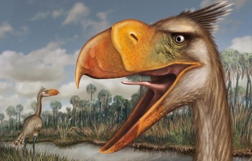 Ilustración del ave prehistórica. FOTO: MATÍAS TAGLIORETTI Y FERNANDO SCAGLIA 