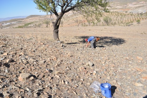 El geólogo José Antonio Lozano, responsable de la investigación, sobre el terreno de la cantera de la Rambla del Agua (Granada). Foto: UGR.
