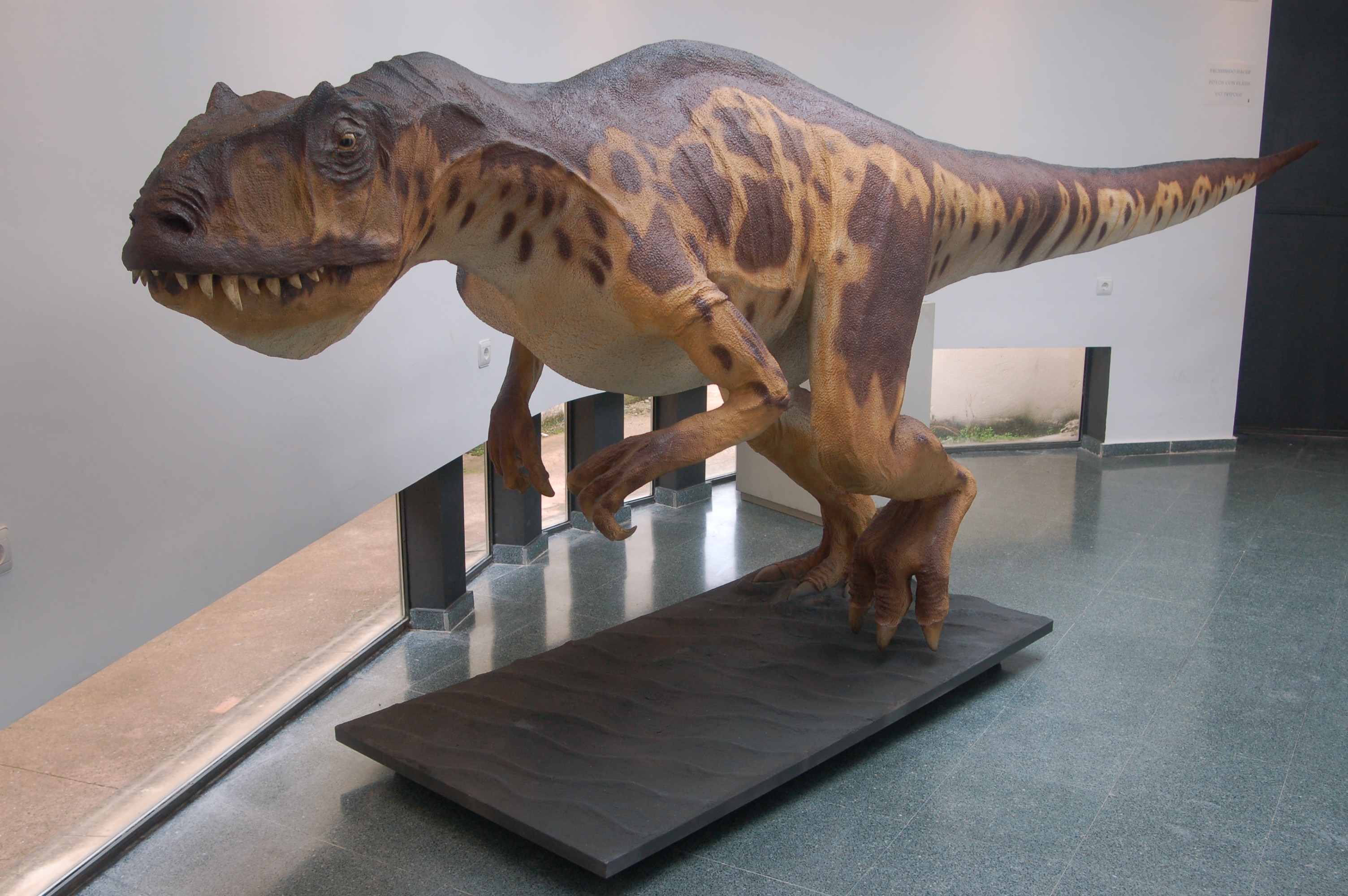 Una reproducción de Allosaurus.