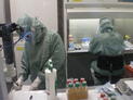 Investigadores en el interior de la Unidad de Producción Celular del IBGM.