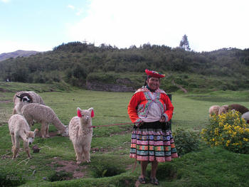 Pastoreo en Cuzco (Perú)