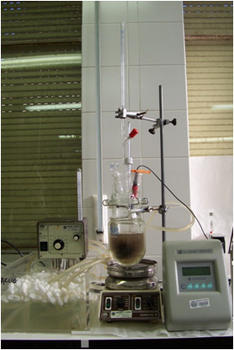 Dispositivo experimental para la hidrólisis enzimática.