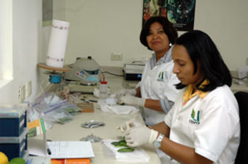 Dos investigadoras del Idiaf trabajan en el laboratorio (FOTO: Idiaf).