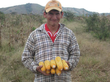 Campesino con maíz (Fotografía: INIAP)