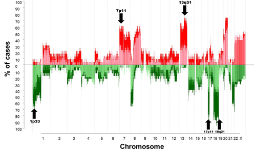 Ganancias y pérdidas de cromosomas en casos de cáncer colorrectal. Foto: J. M. Sayagués.