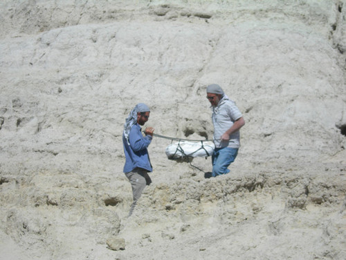 Los paleontólogos Alfredo Carlini y Martín Ciancio, del Museo de La Plata recogen un fósil de perezoso de la formación Colhue-Huapi, en Gran Barranca, Chubut, Argentina. Foto: Regan Dunn.