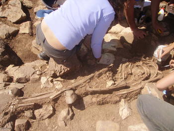 Imagen de los restos de la tumba de una joven que, según los indicios murió ejecutada en la Edad del Bronce.