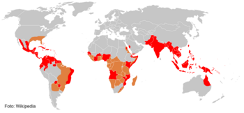 Mapamundi con los países afectados por el dengue (en rojo) y las regiones en las que está presente el mosquito vector, el mosquito de la fiebre amarilla ('Aedes aegypti').