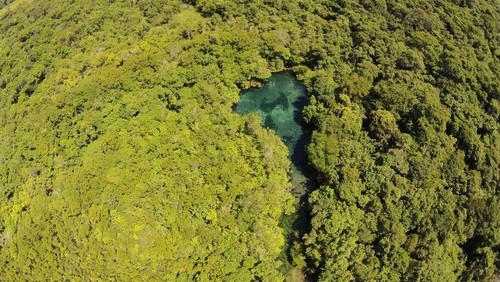 La cabecera de un río en el bioma Cerrado/José Sabino