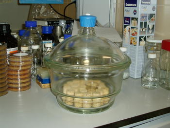 Tapones de corcho aislados hermeticamente como parte de un experimento